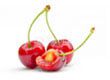 Cherry stem