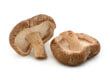 Shiitake