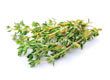 Thyme