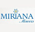 Miriana Flowers : Découvrez les produits