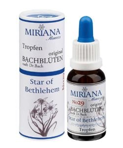 Etoile de Bethléem - Star of Bethlehem (n° 29), 20 ml