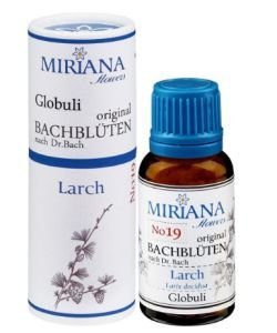 Mélèze - Larch 19 Fleur de Bach SANS ALCOOL, 20 g