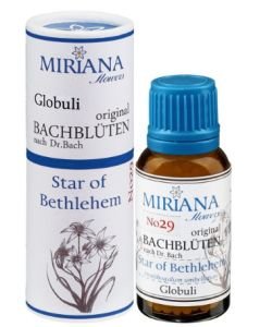 Star of Bethlehem 29 Bach Flower ALCOHOL FREE