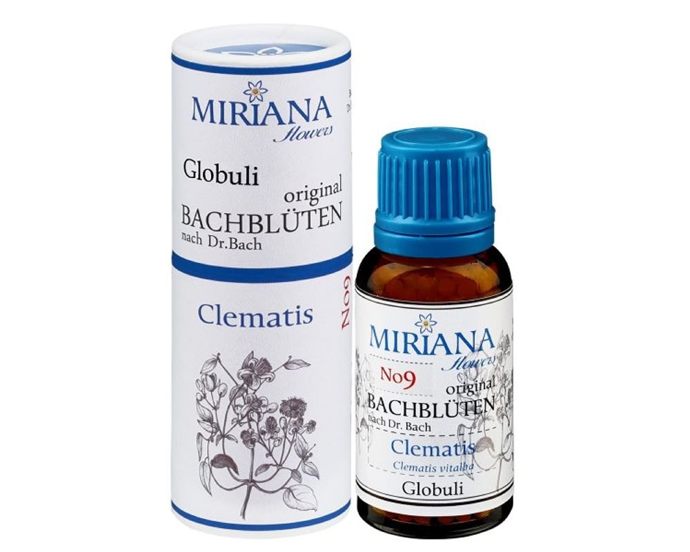 Clematis Bach Flower 9 ALCOHOL FREE - 20g - Miriana flowers