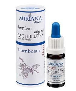 Charm - Hornbeam (No. 17), 10 ml