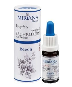 Hêtre - Beech (n°3), 10 ml