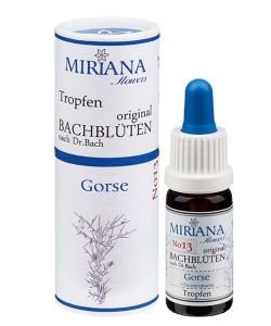 Ajonc - Gorse (n° 13), 10&nbsp;ml