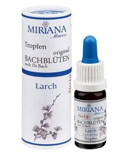 Larch (No. 19), 10 ml