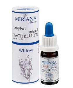 Willow (No. 38), 10 ml