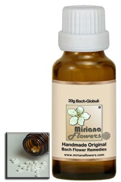 First Aid Bach Flower Remedy 39 ALCOHOL, 10 g