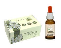 Box of 38 Bach flowers - Damaged packaging, 10 ml