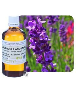 True Lavender (Lavandula angustifolia) BIO, 100 ml