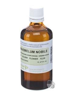 Camomille noble (Chamaemelum nobile), 100 ml