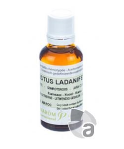 Ciste ladanifère (Cistus ladaniferus), 30 ml