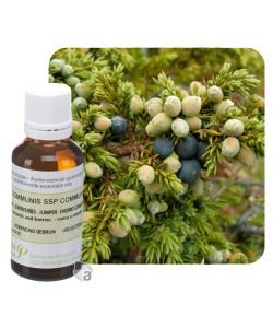 Common juniper (Juniperus communis), 30 ml
