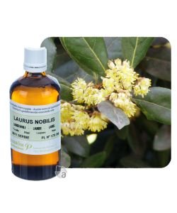 Laurier noble (Laurus nobilis), 100 ml