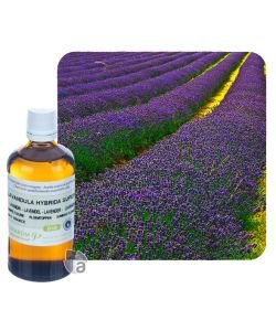 Lavandin super (Lavandula intermedia) BIO, 100 ml