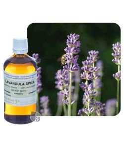 Lavande aspic (Lavandula spica), 100 ml