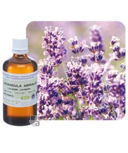 Lavandin (Lavandula abrialis) BIO, 100 ml