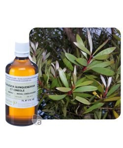 Niaouli (Melaleuca quinquenervia), 30 ml