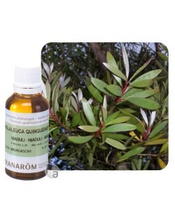 Niaouli (Melaleuca quinquenervia) BIO, 30 ml