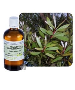 Niaouli (Melaleuca quinquenervia) BIO, 100 ml