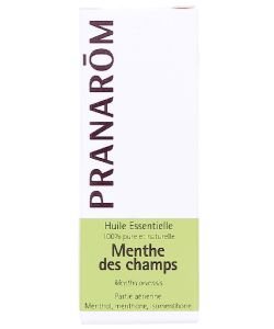 Menthe des champs (Mentha arvensis), 100 ml