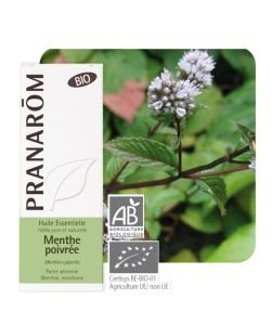 Peppermint (Mentha x piperita) BIO, 5 ml