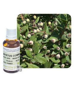 Myrtle cineole / green (Myrtus comm.) BIO, 30 ml