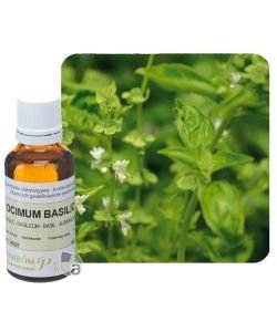 Basilic exotique (Ocimum basilicum), 30 ml
