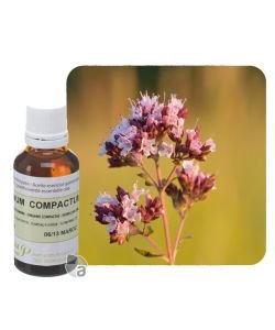Compact Oregano with inflorescences (Orig. compact.), 30 ml
