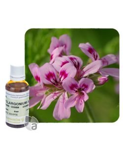 Egyptian Geranium (Pelargonium x asperum), 30&nbsp;ml