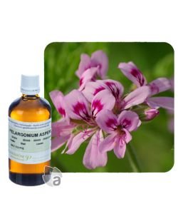 Géranium d'Egypte (Pelargonium x asperum), 100 ml