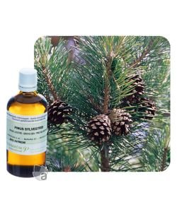 Scots pine (Pinus Sylvestris), 100 ml