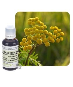 Tanaisie annuelle (Tanacetum annuum), 30 ml