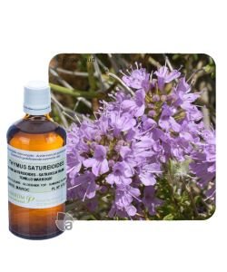 Thym à feuilles de sarriette (Thymus satureioides), 100 ml