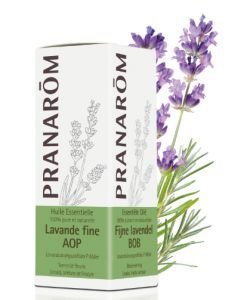 Fine lavender AOP (lavandula angustifolia P. Miller)
