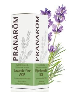 Lavande fine AOP (lavandula angustifolia P. Miller)