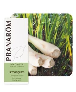 Lemongrass (Cymbopogon citratus) - without packaging, 10 ml