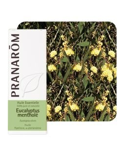 Eucalyptus mentholé (Eucalyptus dives) - sans Emballage, 10 ml