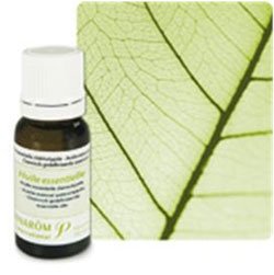 Anise (Pimpinella anisum), 10 ml