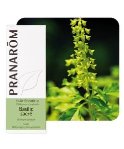 Basilic sacré (Ocimum sanctum), 5&nbsp;ml