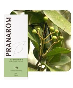 Bay (Pimenta racemosa), 10 ml