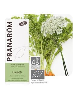 Carotte (Daucus carota var. sativus) BIO, 5 ml