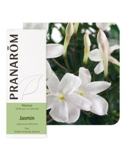 Jasmin - absolue (Jasminum officinalis)