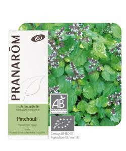 Patchouli (Pogostemon cablin) - Huile essentielle