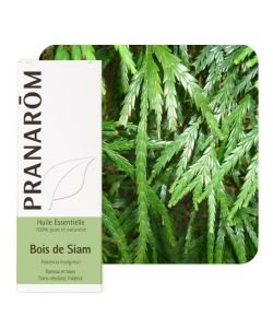 Bois de Siam (Fokienia hodginsii), 10 ml