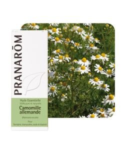 German chamomile (Matricaria recutita), 5 ml