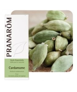 Cardamom (Elettaria cardamomum)