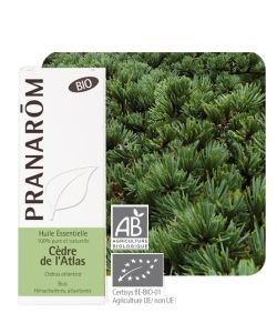 Cèdre de l'Atlas (Cedrus atlantica) - Huile essentielle BIO, 10 ml